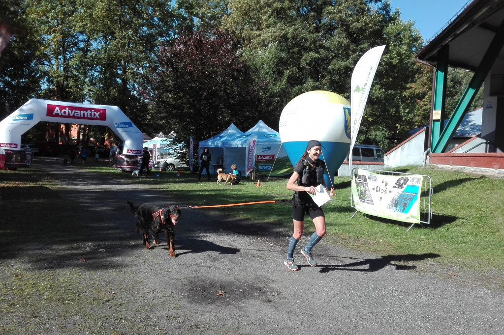 Puchar Polski w Dogtrekkingu - Lubliniec 2021