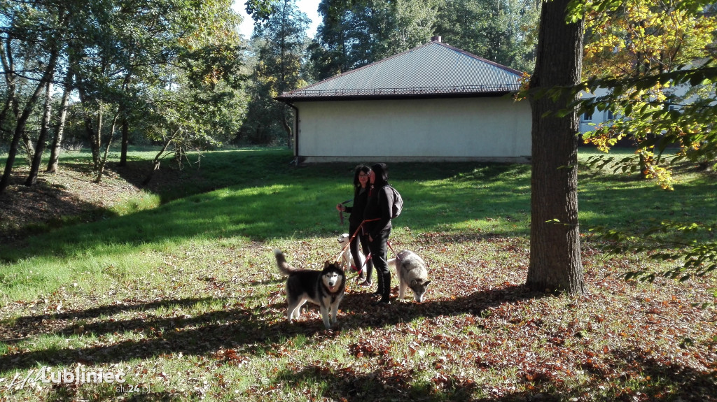 Puchar Polski w Dogtrekkingu - Lubliniec 2021