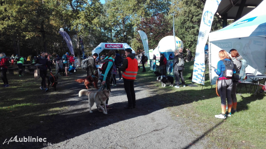Puchar Polski w Dogtrekkingu - Lubliniec 2021