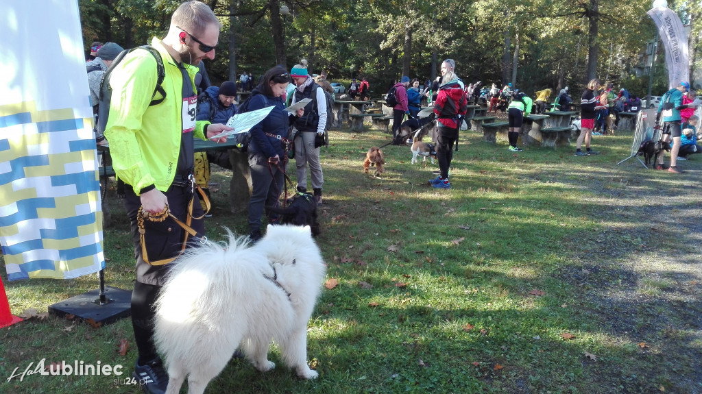 Puchar Polski w Dogtrekkingu - Lubliniec 2021