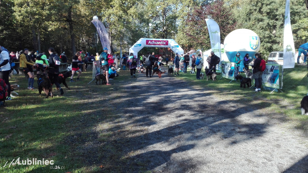Puchar Polski w Dogtrekkingu - Lubliniec 2021