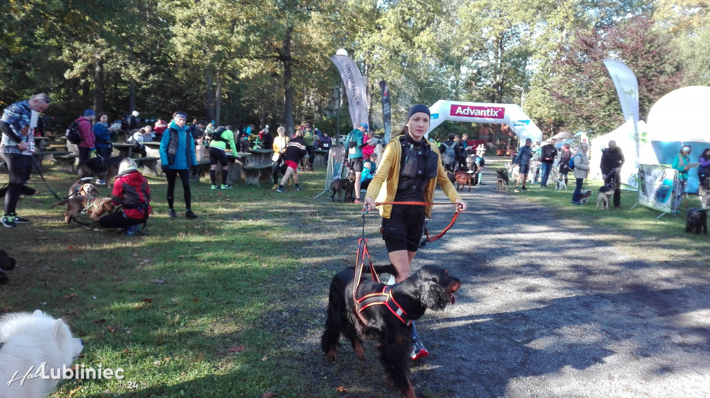 Puchar Polski w Dogtrekkingu - Lubliniec 2021