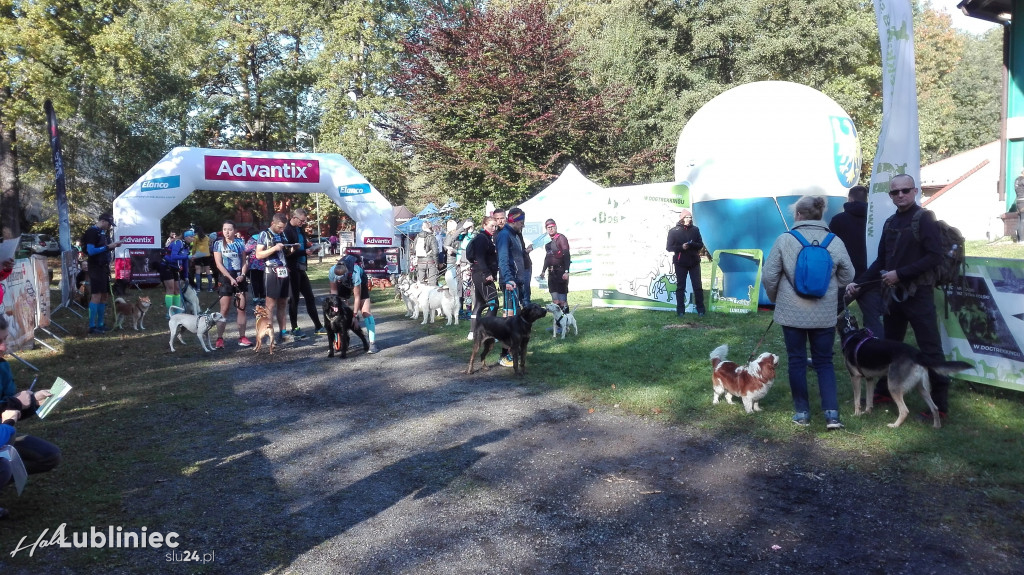 Puchar Polski w Dogtrekkingu - Lubliniec 2021