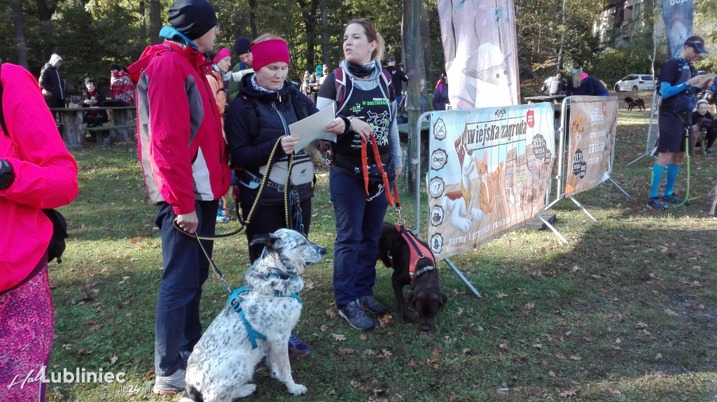 Puchar Polski w Dogtrekkingu - Lubliniec 2021