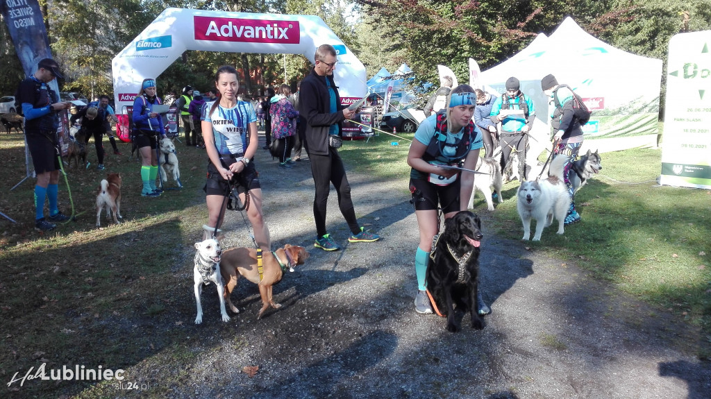 Puchar Polski w Dogtrekkingu - Lubliniec 2021
