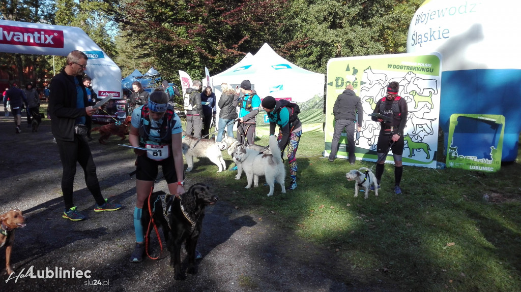 Puchar Polski w Dogtrekkingu - Lubliniec 2021