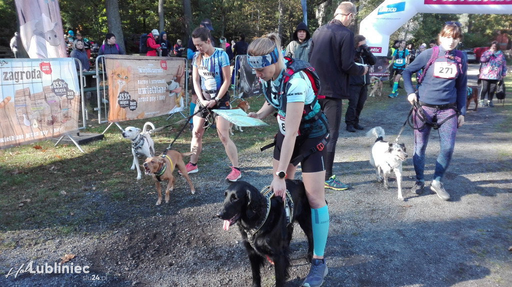 Puchar Polski w Dogtrekkingu - Lubliniec 2021