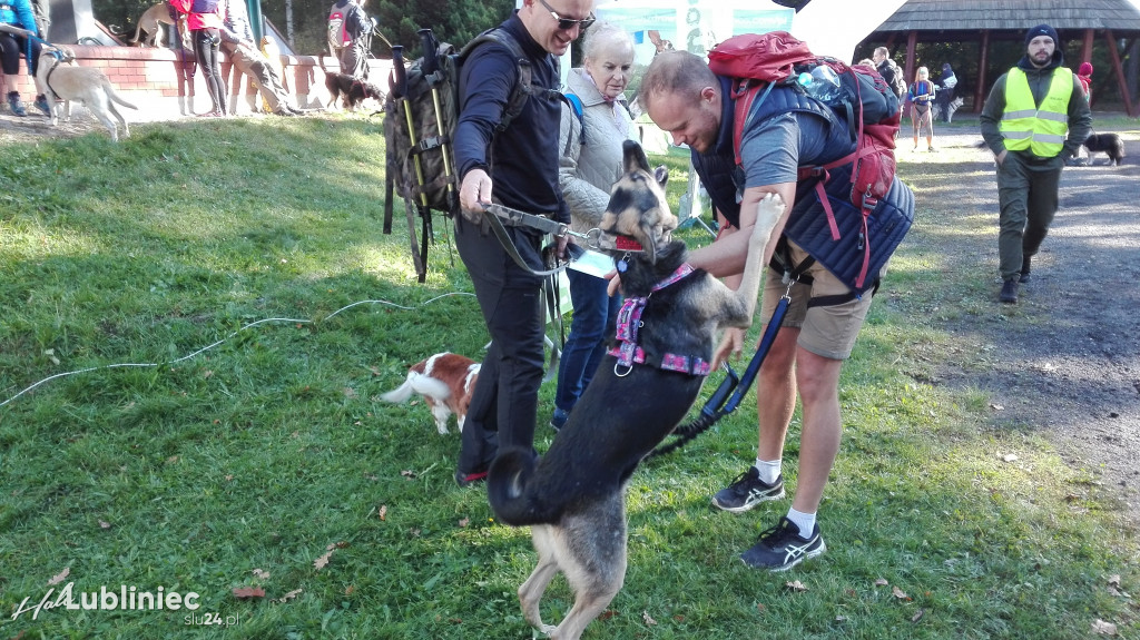 Puchar Polski w Dogtrekkingu - Lubliniec 2021