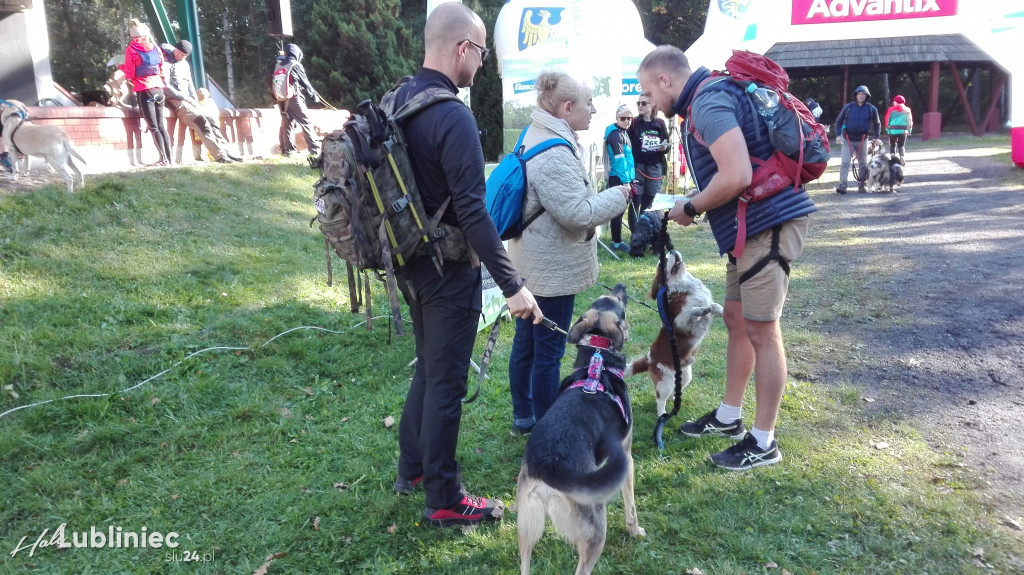 Puchar Polski w Dogtrekkingu - Lubliniec 2021