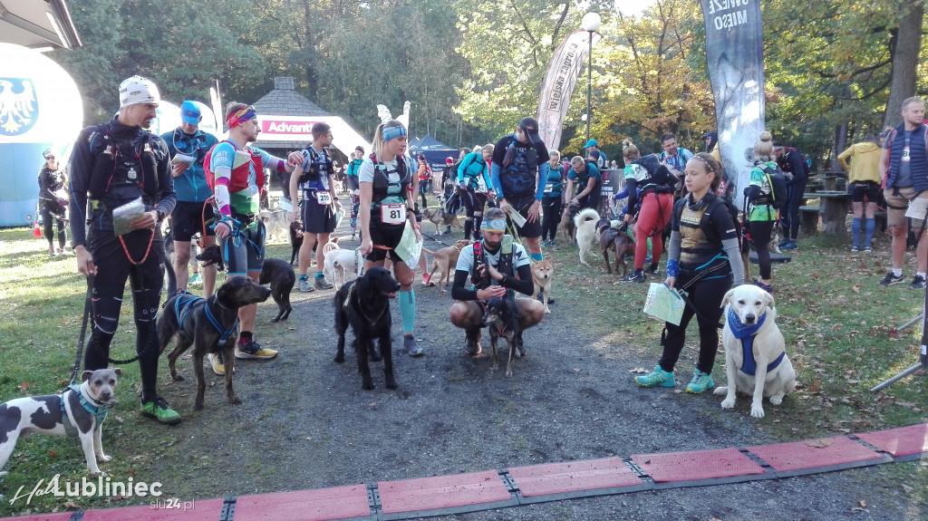 Puchar Polski w Dogtrekkingu - Lubliniec 2021