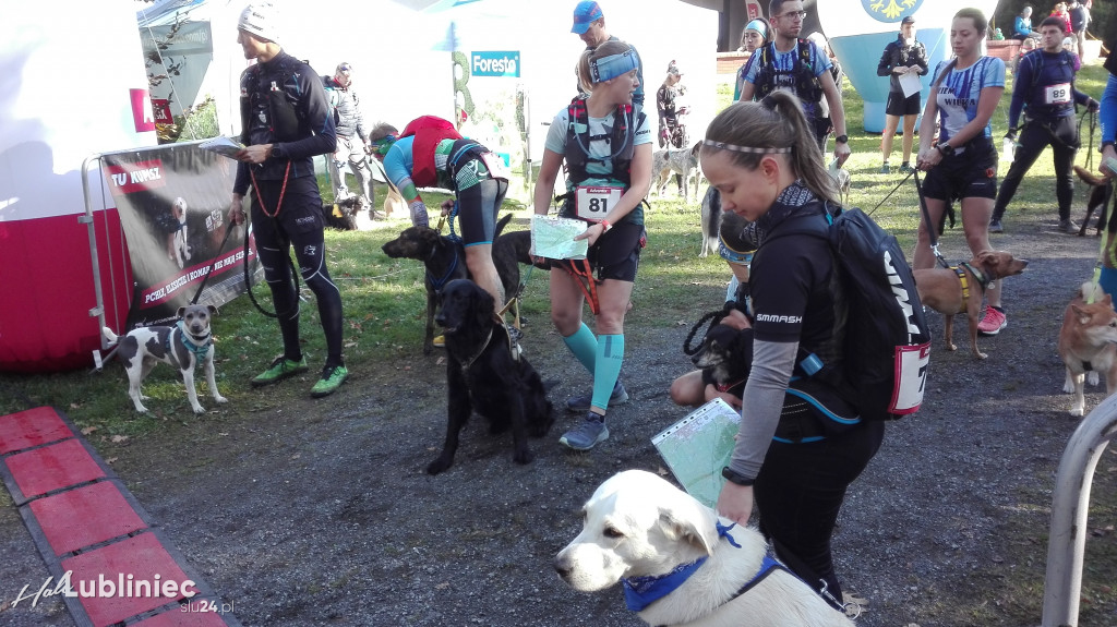 Puchar Polski w Dogtrekkingu - Lubliniec 2021