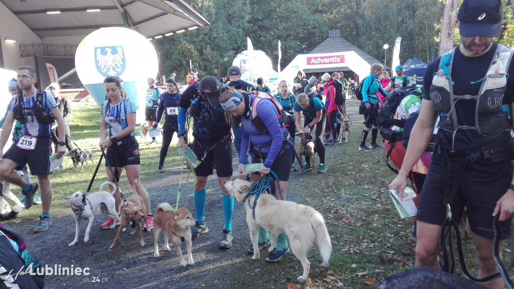 Puchar Polski w Dogtrekkingu - Lubliniec 2021