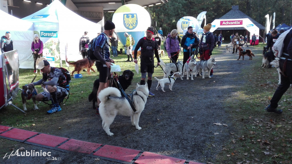 Puchar Polski w Dogtrekkingu - Lubliniec 2021
