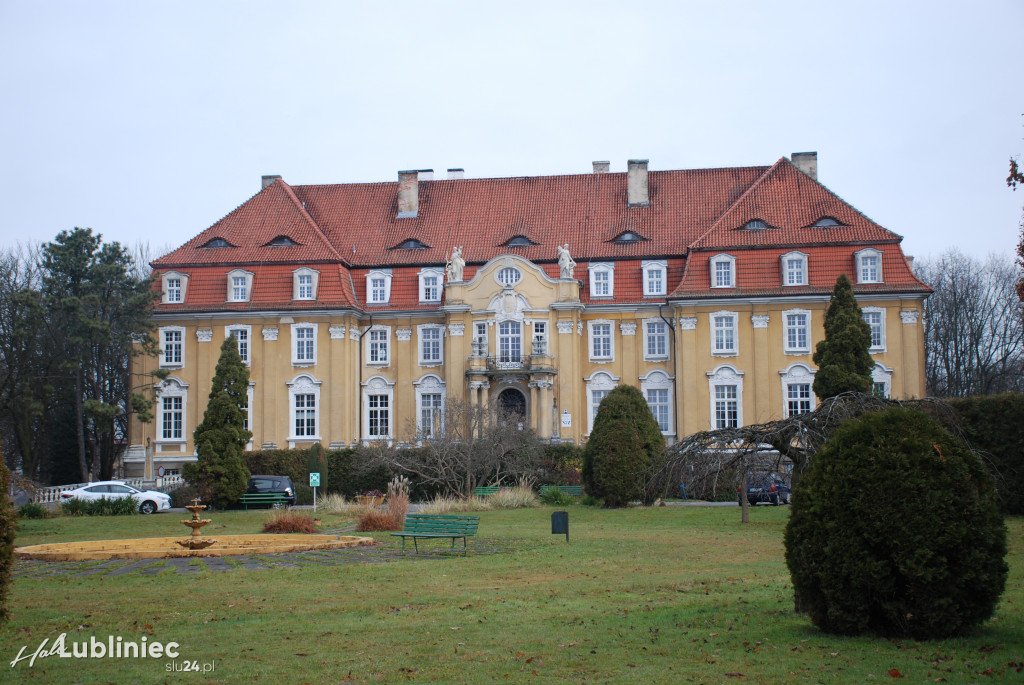 Trwa remont pałacu w Kochcicach