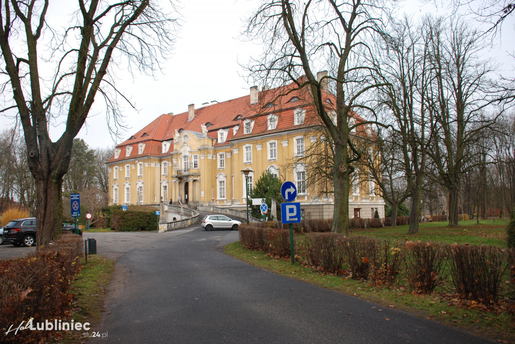Trwa remont pałacu w Kochcicach