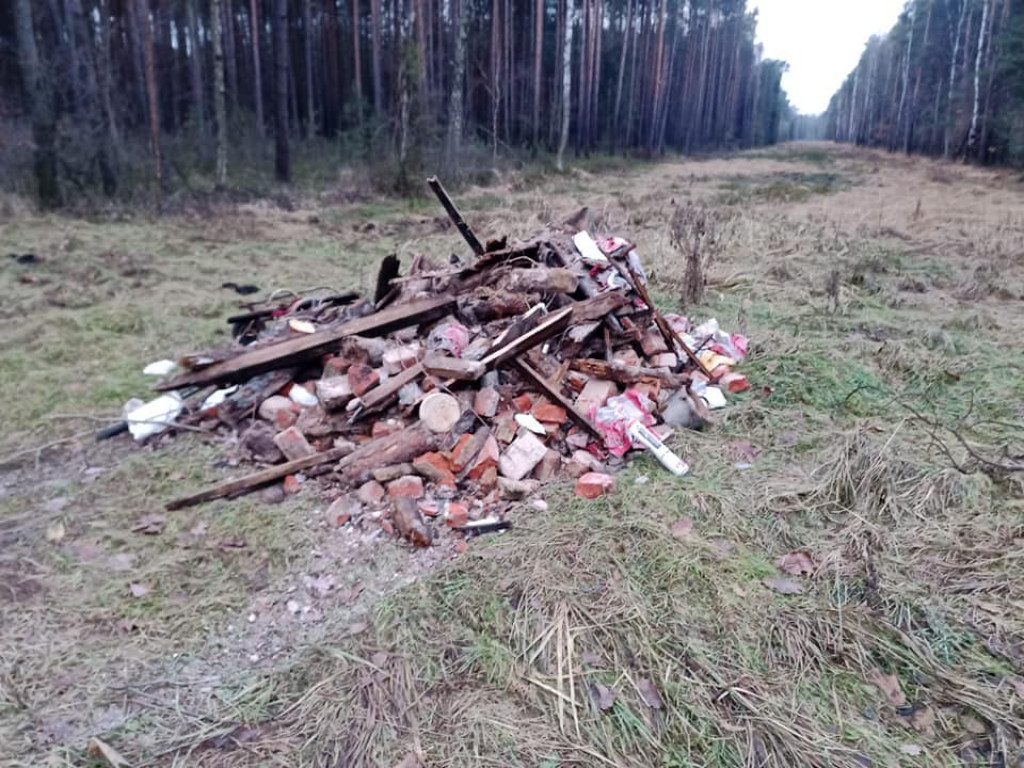 Lubliniec. Kto zostawił gruz w lesie? Trzy wysypiska