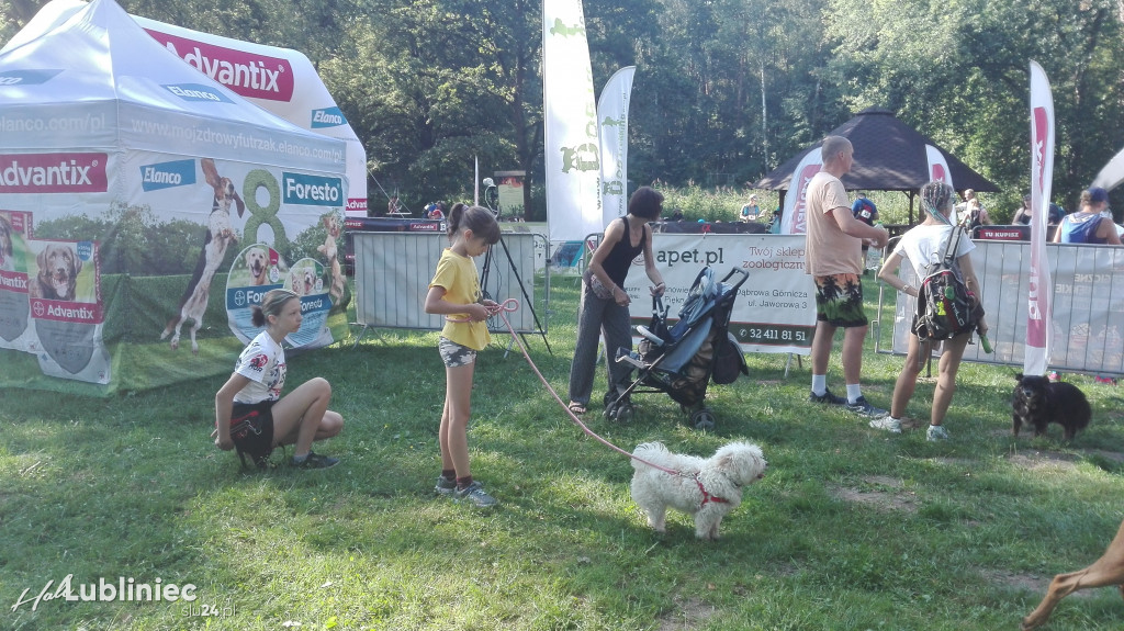 Psy na starcie, czyli dogtrekking w Koszęcinie