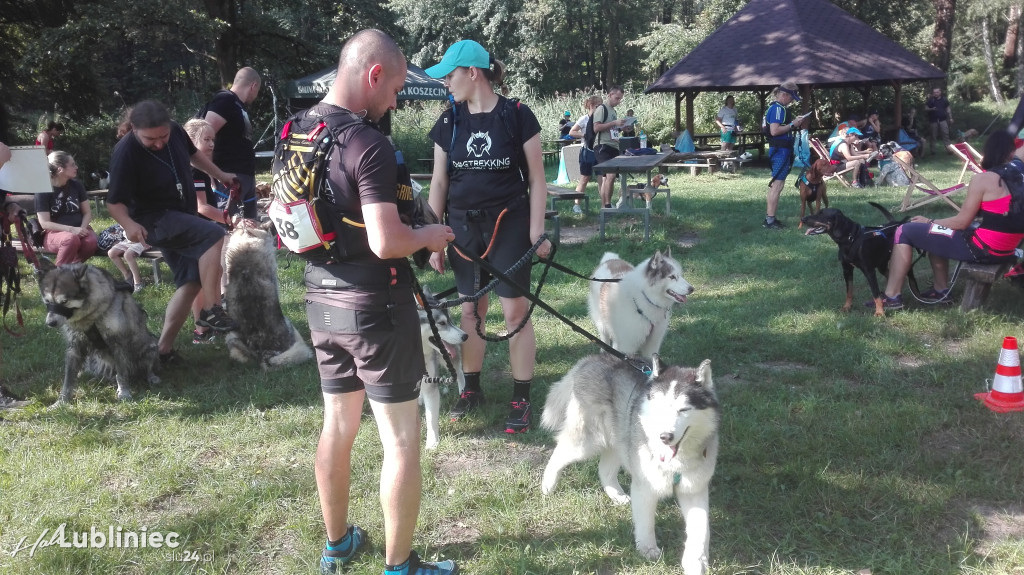 Psy na starcie, czyli dogtrekking w Koszęcinie