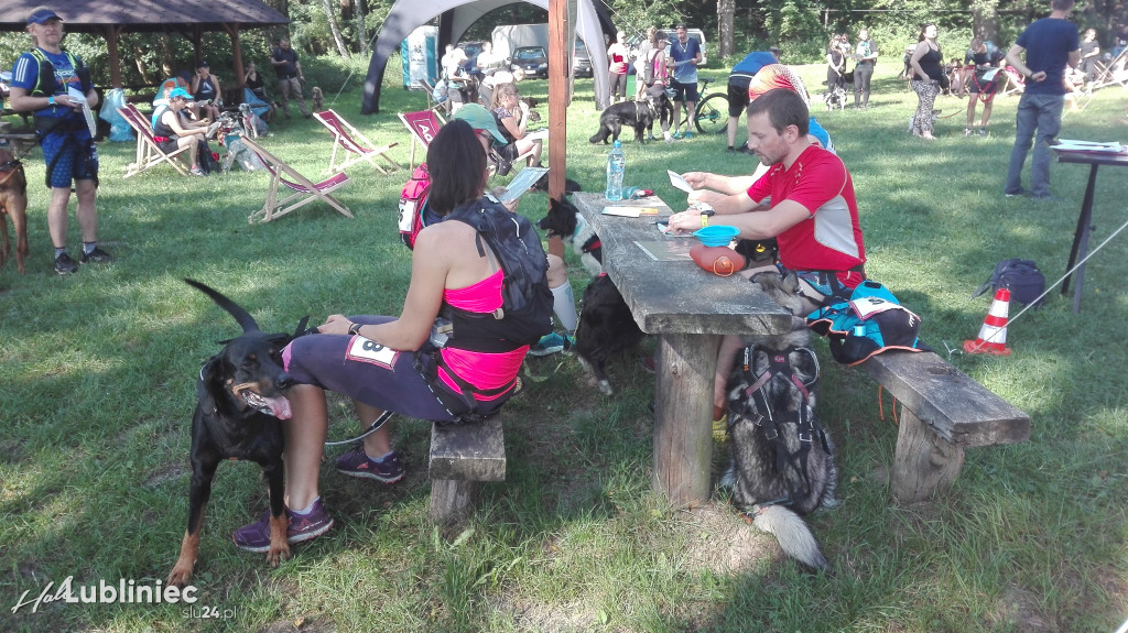 Psy na starcie, czyli dogtrekking w Koszęcinie