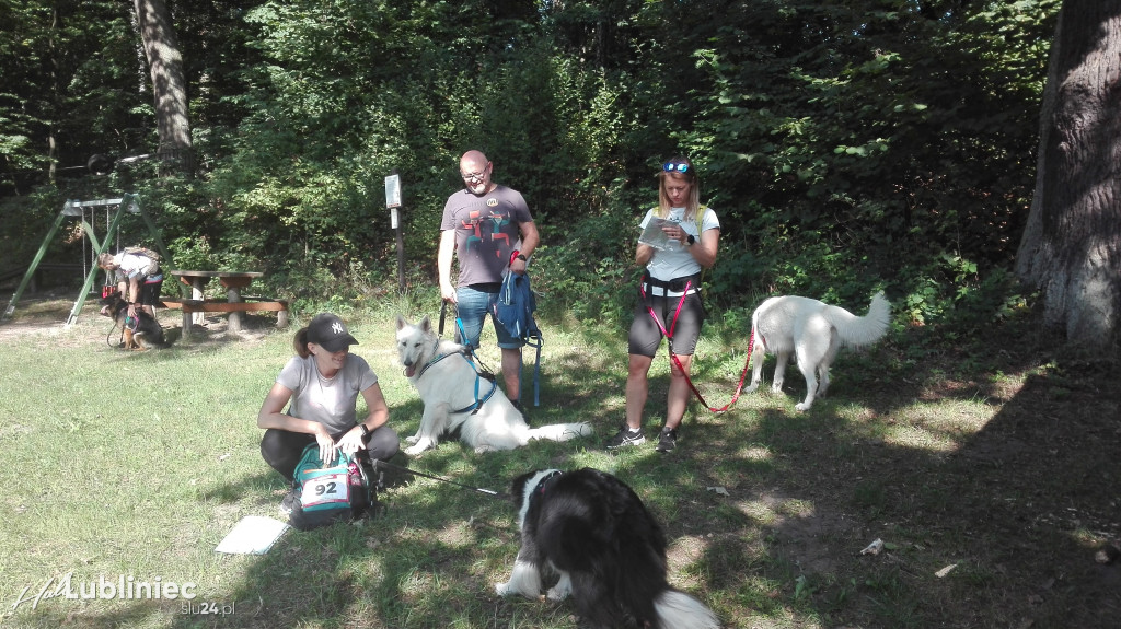 Psy na starcie, czyli dogtrekking w Koszęcinie