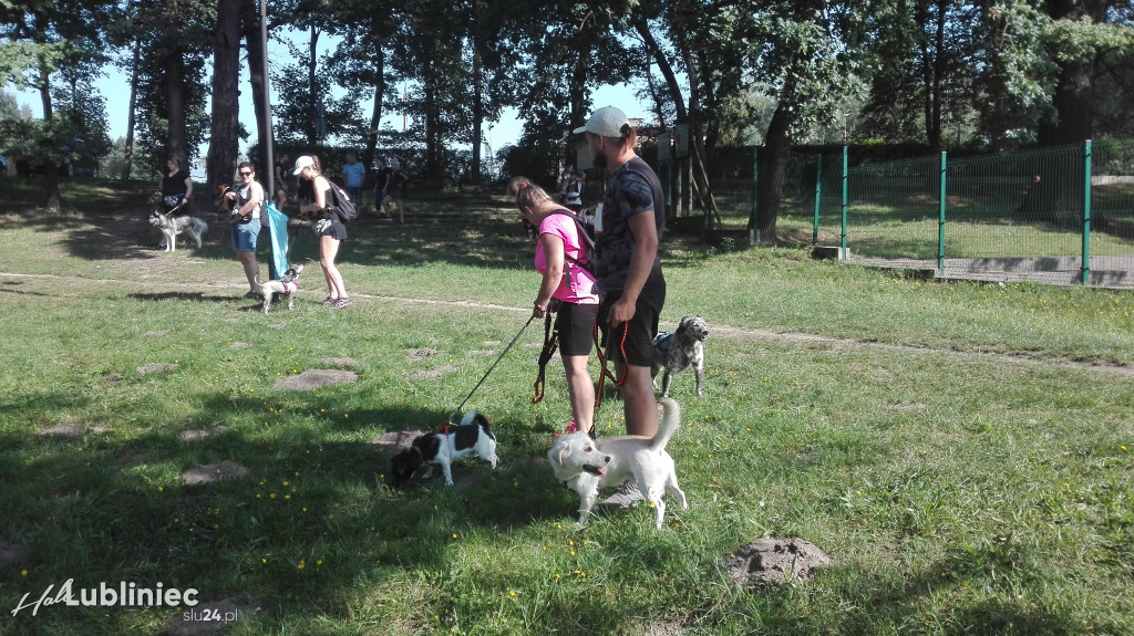 Psy na starcie, czyli dogtrekking w Koszęcinie