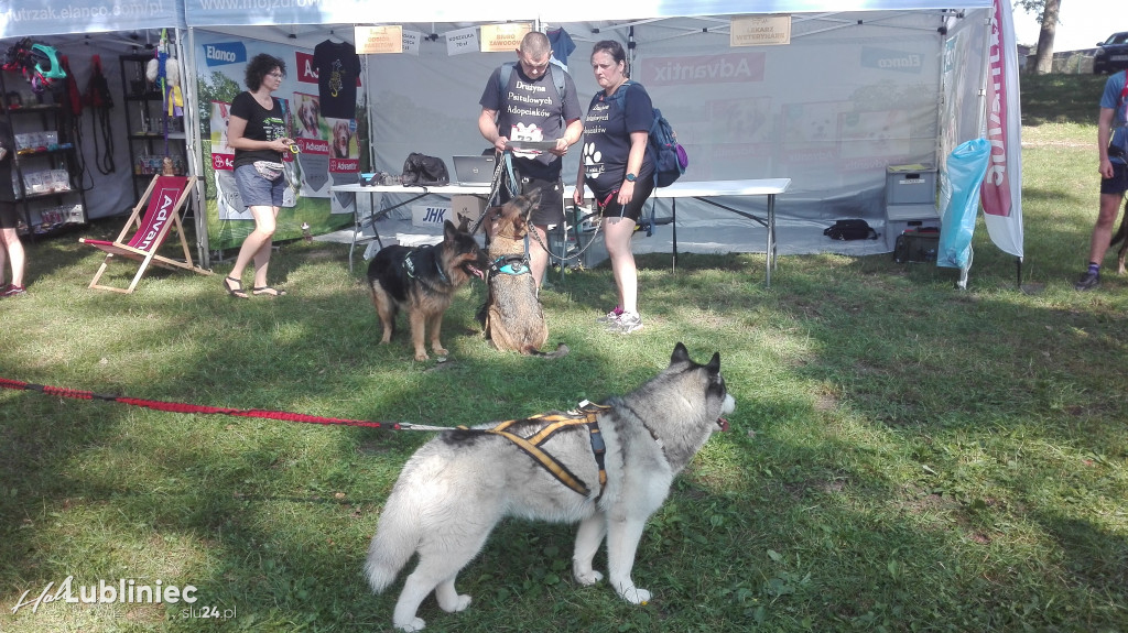 Psy na starcie, czyli dogtrekking w Koszęcinie