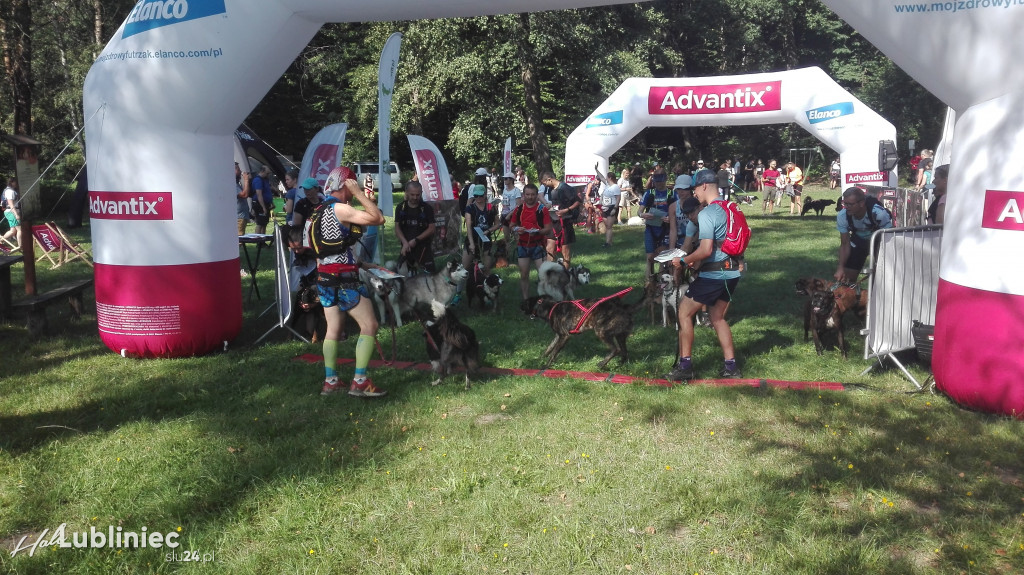 Psy na starcie, czyli dogtrekking w Koszęcinie