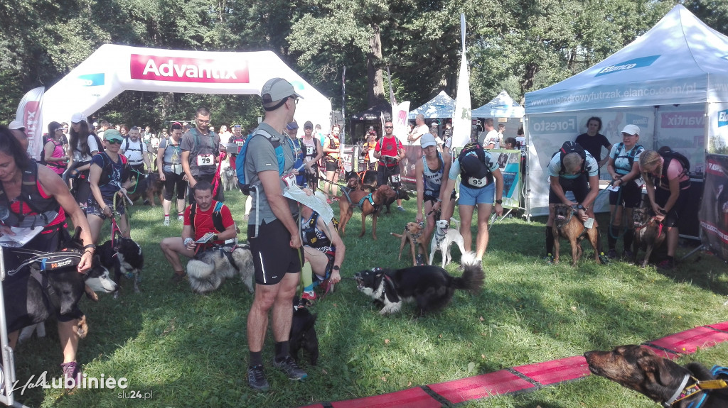 Psy na starcie, czyli dogtrekking w Koszęcinie