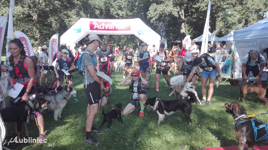 Psy na starcie, czyli dogtrekking w Koszęcinie