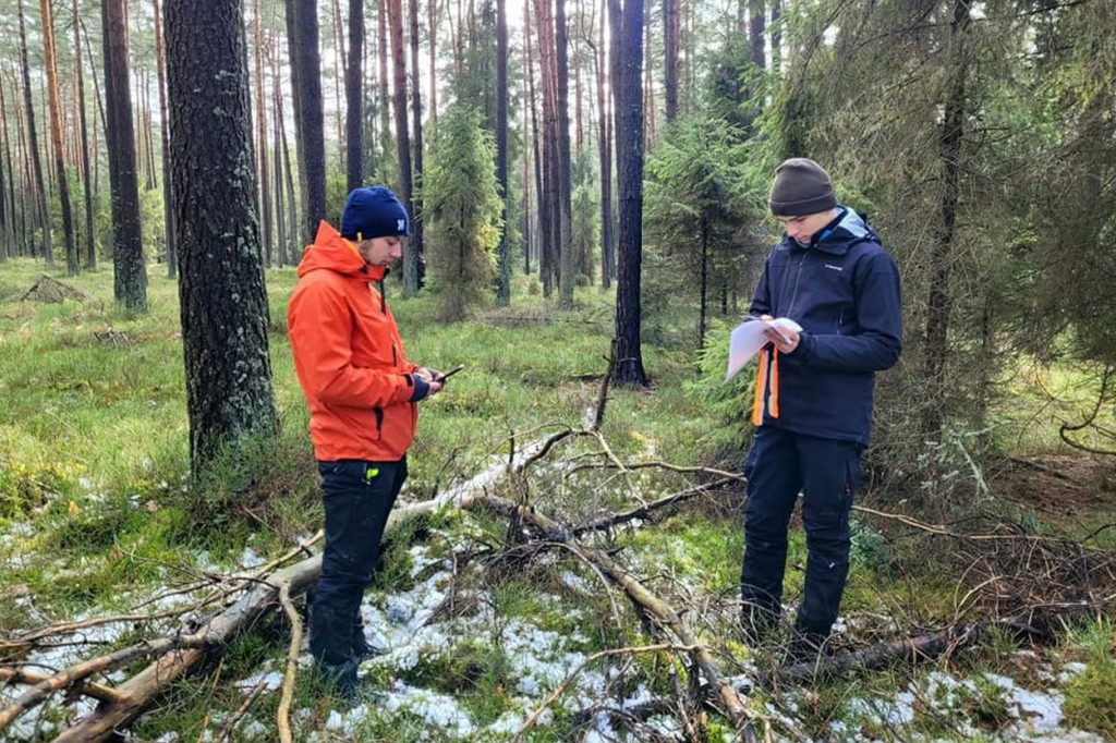 Psy ratownicze w akcji i szybkie trójki ratownicze
