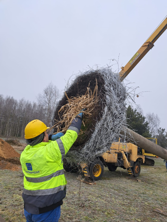 Psary. Nowe lęgowisko dla bocianów [FOTO]