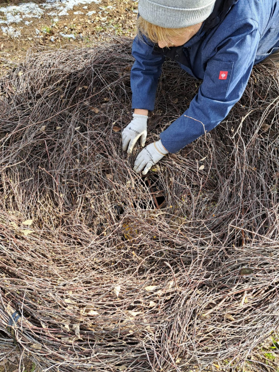 Psary. Nowe lęgowisko dla bocianów [FOTO]