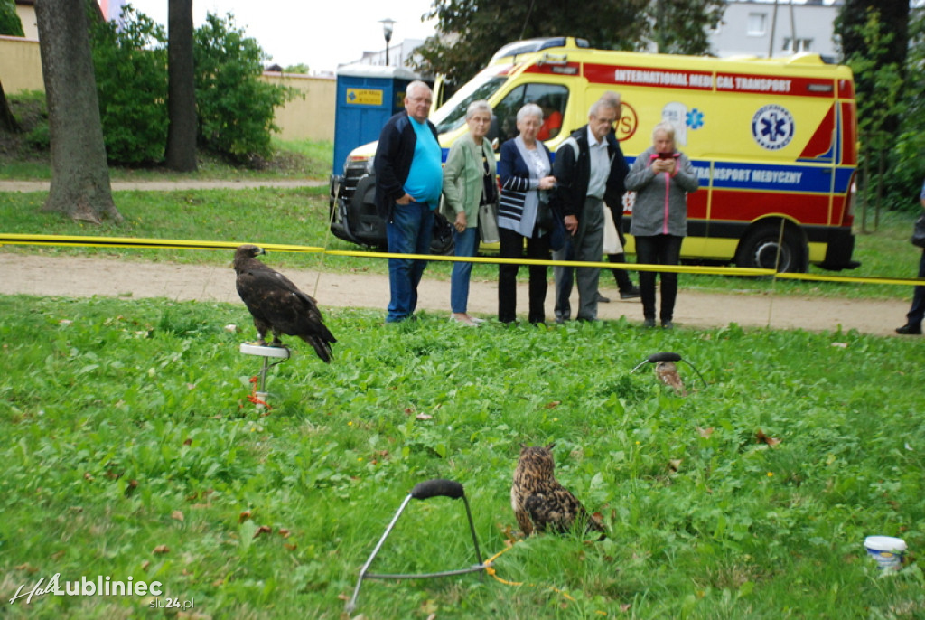 Koszęcin. Cietrzewisko, tak było w sobotę [FOTO]