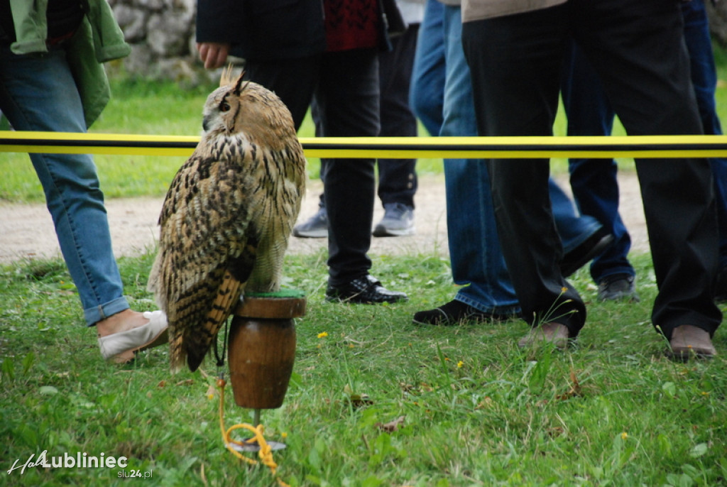 Koszęcin. Cietrzewisko, tak było w sobotę [FOTO]