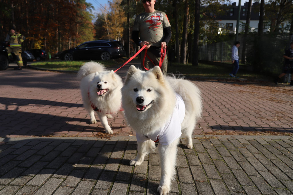 Lubliniec. Święto Niepodległości [ZDJĘCIA]