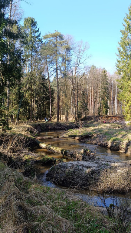 Posprzątali dolinę Lublinicy [FOTO]