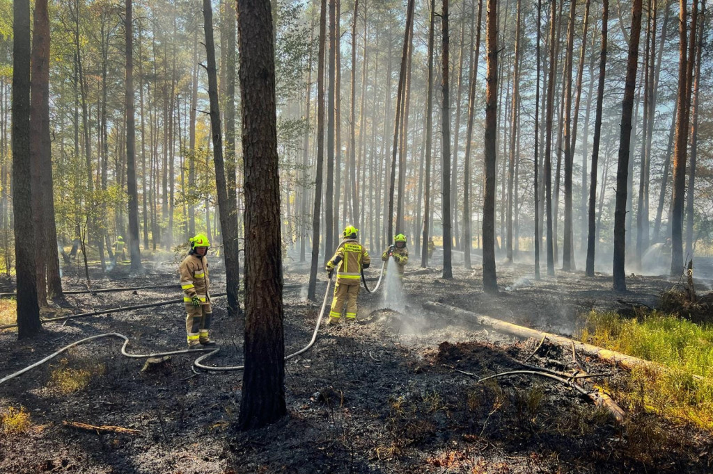 Pożar lasu gasiły samoloty, śmigłowiec i straże