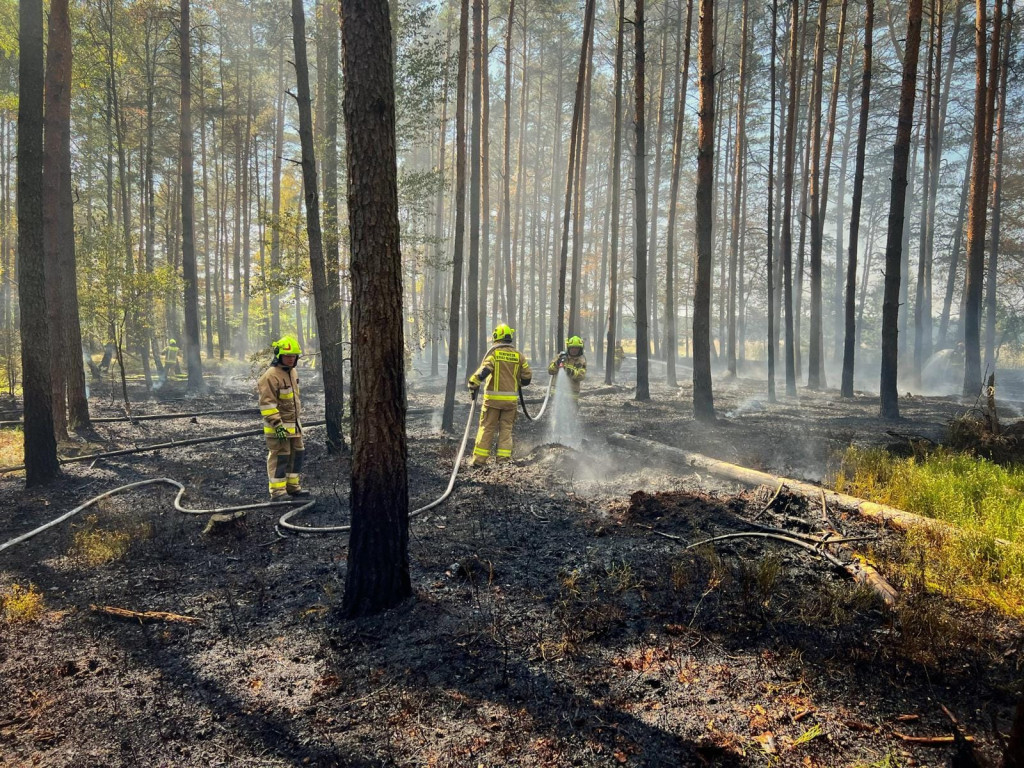 Pożar lasu gasiły samoloty, śmigłowiec i straże