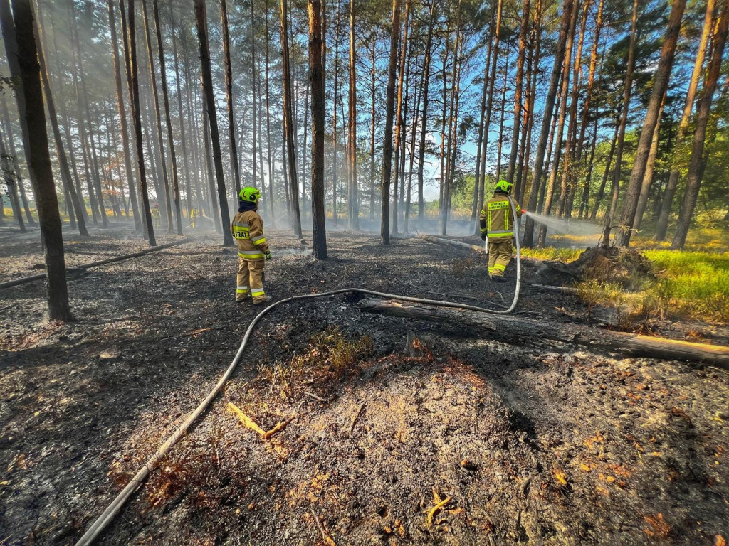 Pożar lasu gasiły samoloty, śmigłowiec i straże