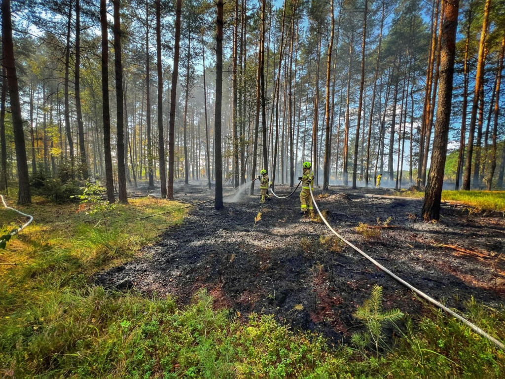 Pożar lasu gasiły samoloty, śmigłowiec i straże