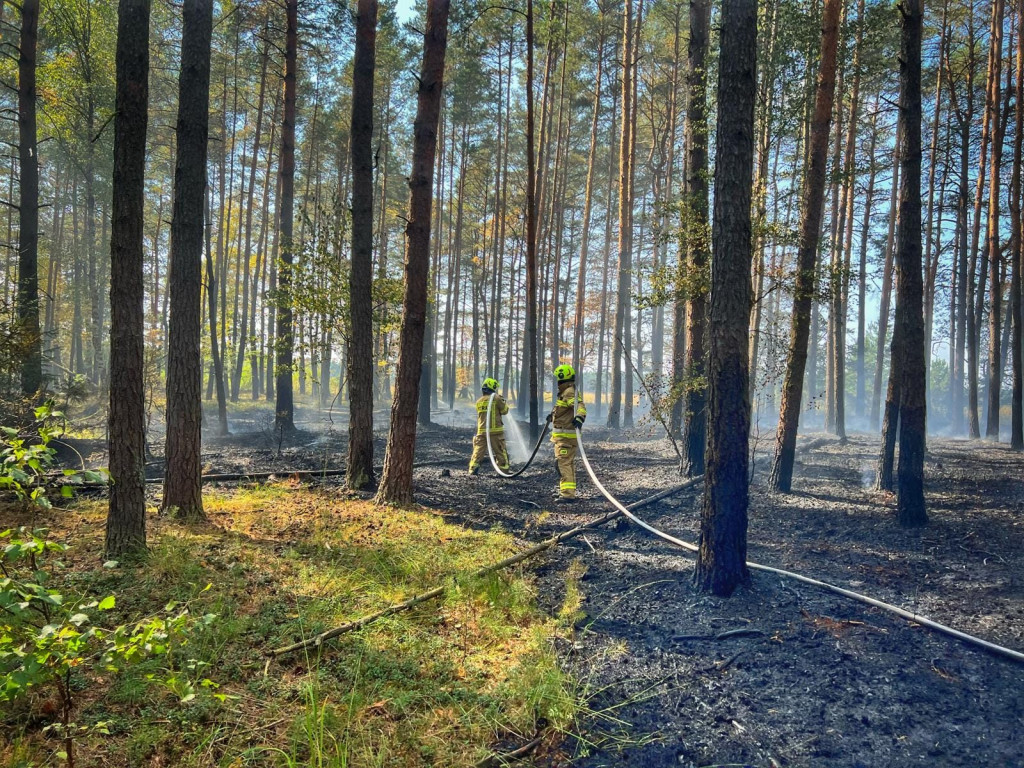 Pożar lasu gasiły samoloty, śmigłowiec i straże