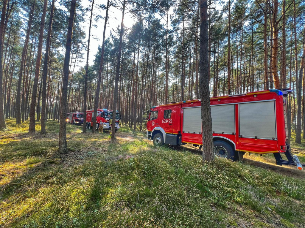 Pożar lasu gasiły samoloty, śmigłowiec i straże