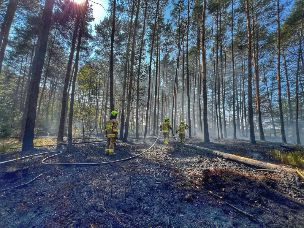 Pożar lasu gasiły samoloty, śmigłowiec i straże