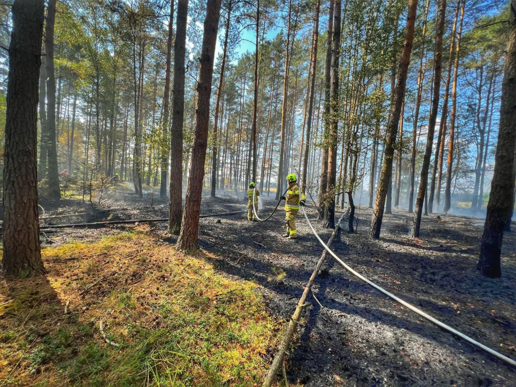 Pożar lasu gasiły samoloty, śmigłowiec i straże