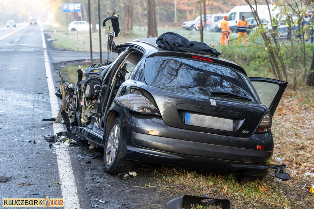 Śmiertelny wypadek na DK 11 [ZDJĘCIA]