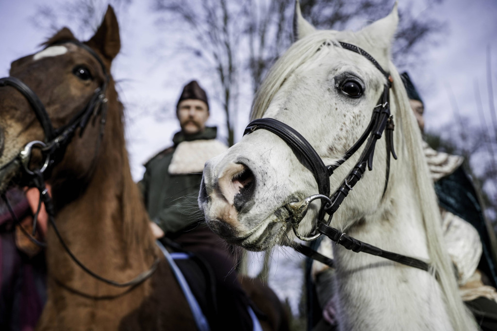 Orszak Trzech Króli w obiektywie Czesławy Włuki