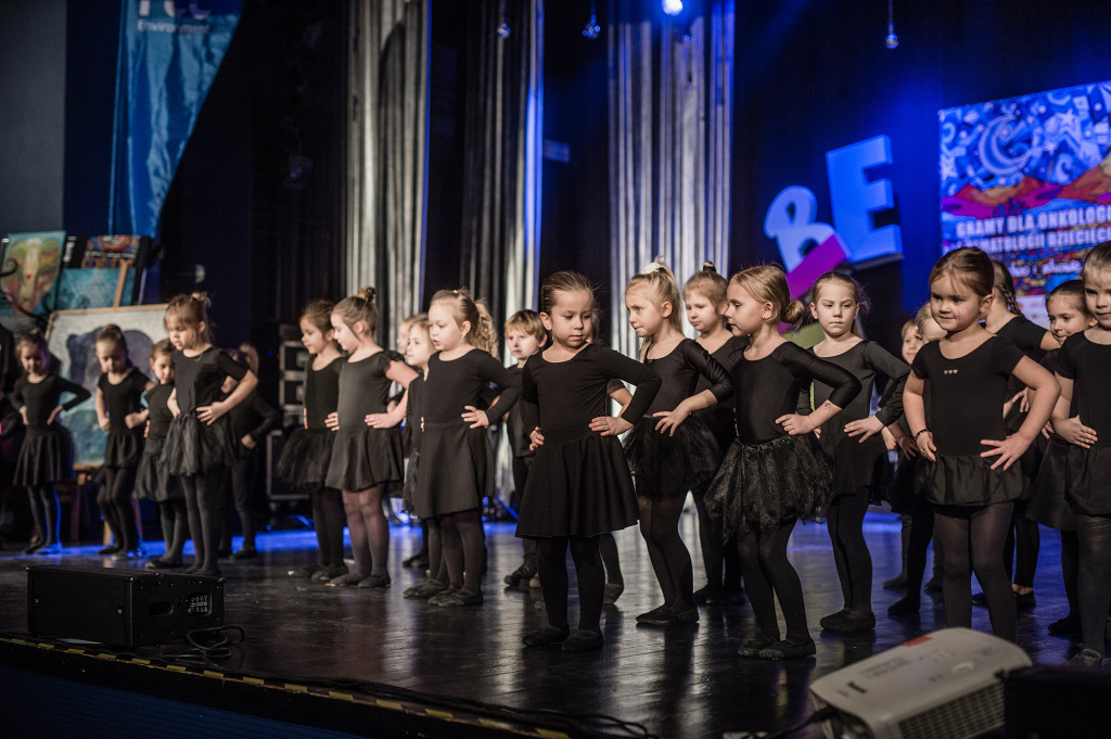 Lubliniec. WOŚP w  Miejskim Domu Kultury