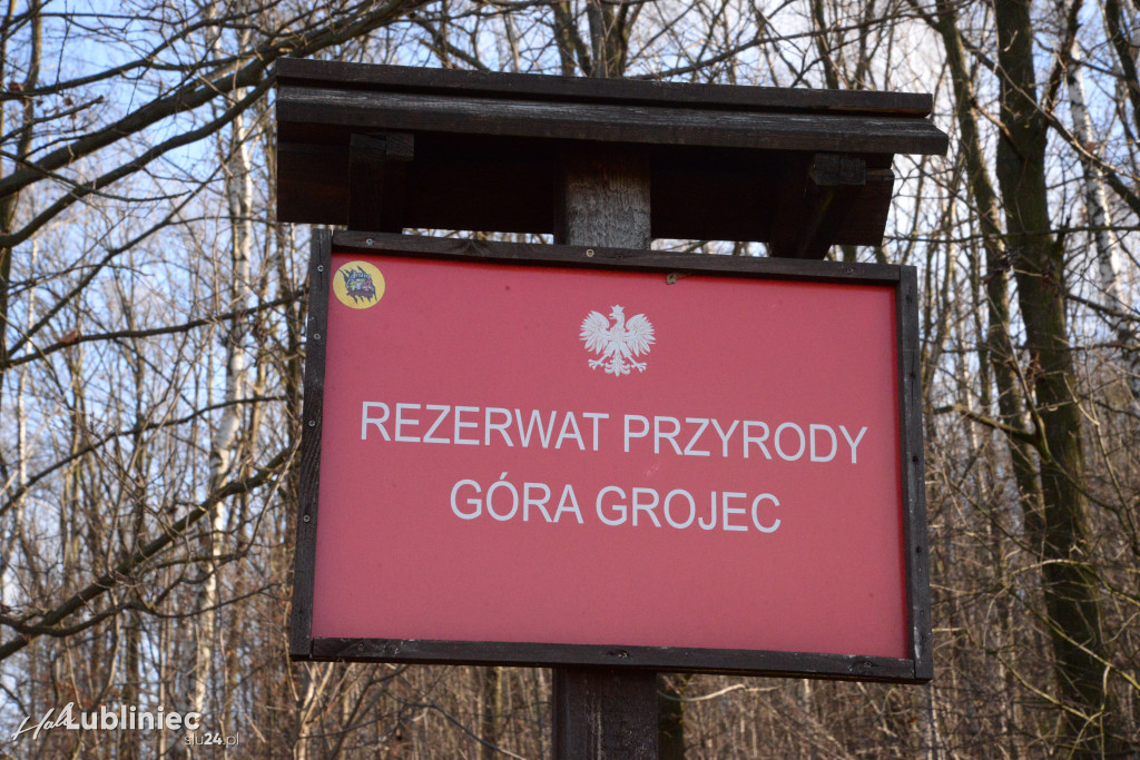 Rezerwat Góra Grojec