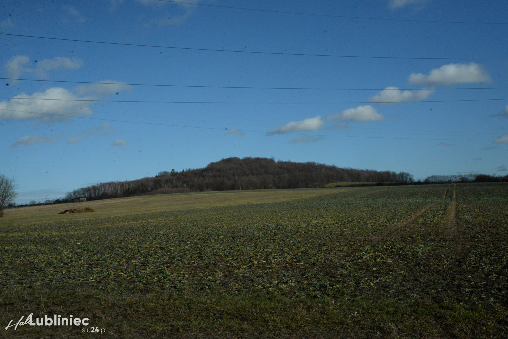 Rezerwat Góra Grojec