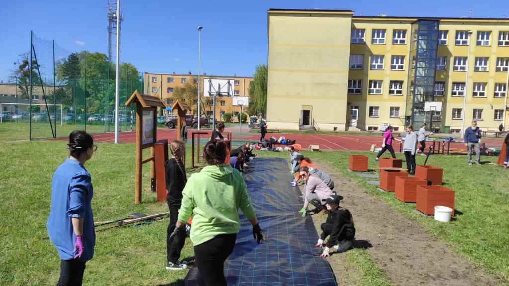 Tajemniczy ogród pod Czwórką - Lubliniec